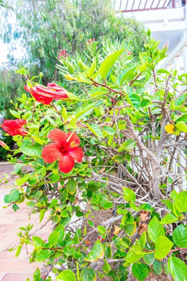 Vivienda Vacacional Rose コスタ・テギセ エクステリア 写真